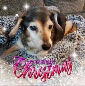 Meet your Posher, Ruth